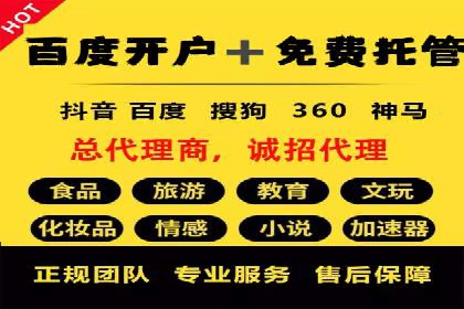 SEM搜索引擎优化案例：如何提升网站流量和转化率