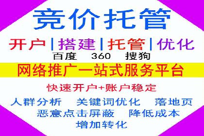 Sem优化公司实例：电商流量提升策略